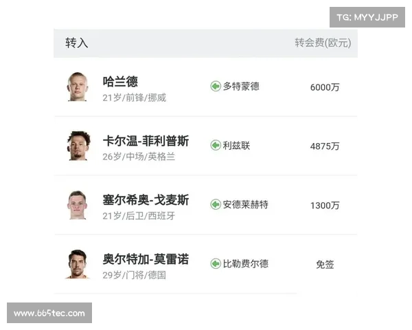 英超球队引援策略分析与未来发展趋势探讨 英超球队引援策略分析与未来发展趋势探讨