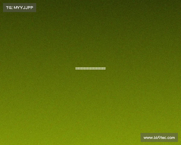 足球球员转会流程详解从谈判到注册全程解析