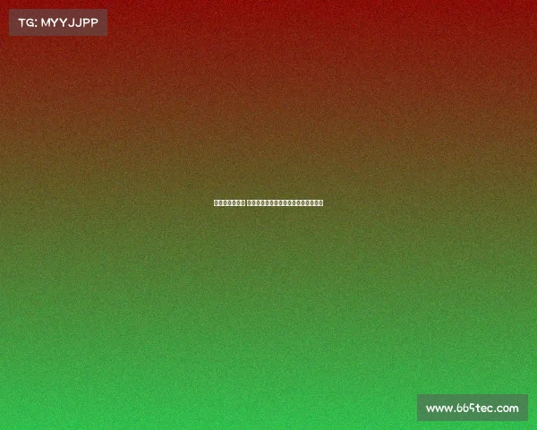 足球解说新视角 探索语言与激情如何点燃赛场的每一刻